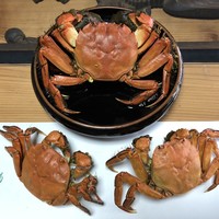 菊乃家 - 川がに