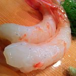 三扇 - ﾎﾞﾀﾝ海老刺し身