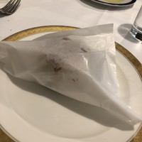 Pigeon - 