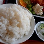 らーめん ほんだ - ご飯大盛り