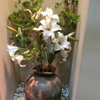 寿楽 - このユリ、カサブランカですね