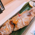 Sushiyuu - 