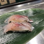 Sushi Uogashi Nihonichi - こち