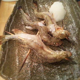 酒肴場 鱗の菜