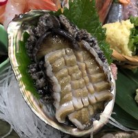 海鮮家 はこだて 本店 - 