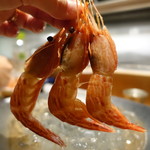 居酒屋　純ちゃん - 