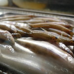 居酒屋　純ちゃん - 