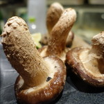 居酒屋　純ちゃん - 