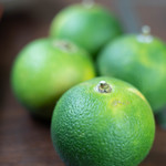 ひびき庵 - 苦橙（だいだい）