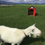 レークヒル・ファーム - 