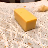 銀座 鮨 かねさか 本店 - 