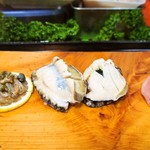 庄ちゃん寿司 - アワビ