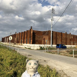 インターナショナルビレッジ - 