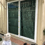 インターナショナルビレッジ - 