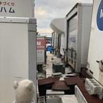 インターナショナルビレッジ - 