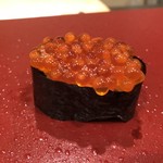 龍文支店 - イクラ