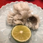 龍文支店 - ハモ