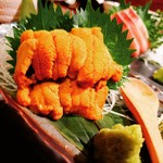 牡蠣貝鮮かいり - 北海道産　ばふんうに刺身