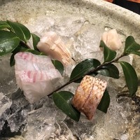 福島 もう利 - 