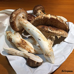 らん亭～ 美日庵 - 松茸の山