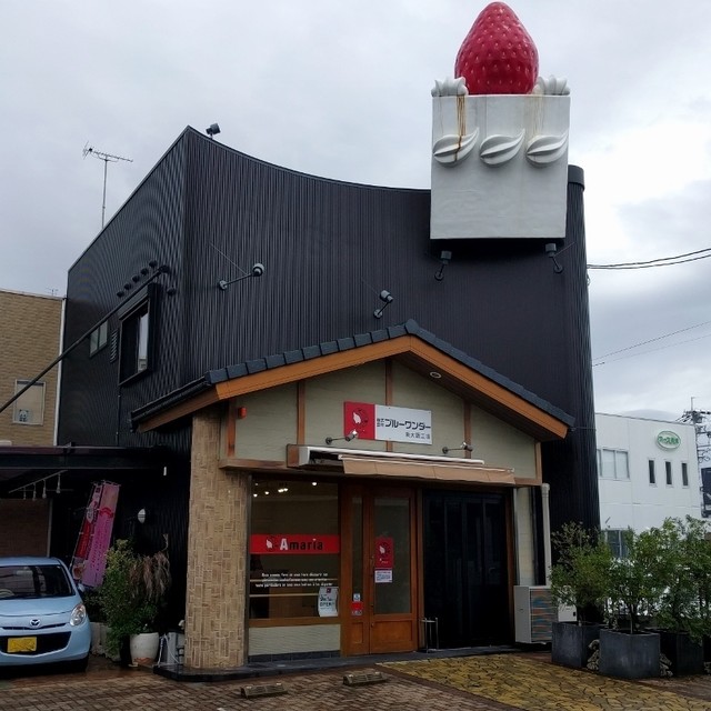 野心 美的 実際 長田 ケーキ 屋 Bichoraro Org 野心 美的 実際 長田 ケーキ 屋 Bichoraro Org