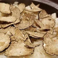 馳走 啐啄一十  - ⑱秋トリュフ(イタリア産)ご飯(プレーン)、たらば蟹(ロシア産)入り
                秋トリュフの華やかで艶やかな薫りが立ち昇って来ます。
                フレッシュな筋子をほぐしたイクラは円やかな旨みとコクが楽しめます。