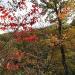 湯浜温泉 三浦旅館 - 紅葉はちょっとずつ残念な年でした