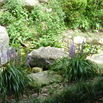 山香料理処 竹取物語 - 