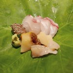 富小路 やま岸 - 