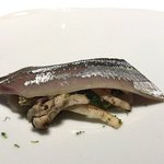 レフェルヴェソンス - 