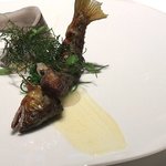 レフェルヴェソンス - 