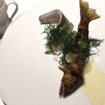 レフェルヴェソンス - 