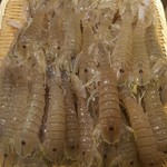 刺身BAR 河岸頭 - 