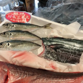 焼き鳥だけじゃない！魚も自慢です！