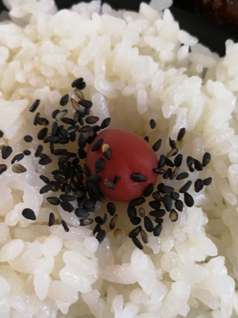 風と大地のおかず家 - 白石（弁当）の写真