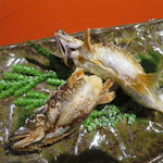 子持ち鮎塩焼き