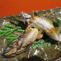 和田屋 - 子持ち鮎塩焼き