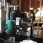 CLAMP COFFEE SARASA - 