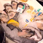 Oyster Bar ジャックポット - 