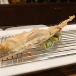 旬彩 天ぷら 心来(しんら） - 落ち鮎、おくら