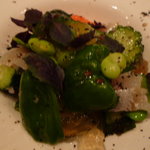 真鯵のマリネと四葉きゅうりレッドバジル風味、ピーマンのムースを添えて