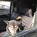 ピッザピッザピッザ - 