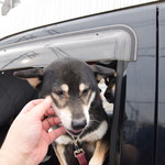 ピッザピッザピッザ - 