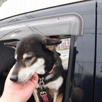 ピッザピッザピッザ - 