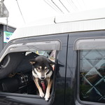 ピッザピッザピッザ - 