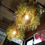 ジェイティード - 