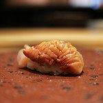 髙橋 謙太郎 - 赤貝☆