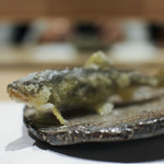 髙橋 謙太郎 - 稚鮎☆