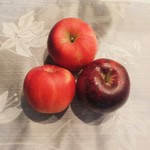 森の果樹園 - 一個から買えます。贈り物として箱買い全国発送もOK 