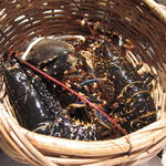 オマール海老！